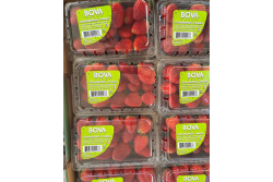 bova fresh