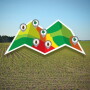 Some weaknesses affect an entire field, and some are only found in management zones, which means pest pressure can vary.