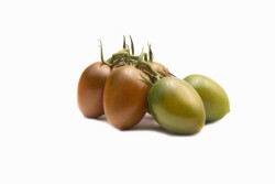 chocolate colored tomato