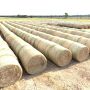 Hay bales