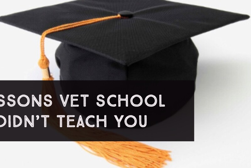 If you could design the vet school curriculum, what classes would you add? 