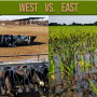 Mother Nature’s extreme weather continues to play out throughout the U.S. 