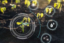 Photo of young plants in field with technology symbols overlayed