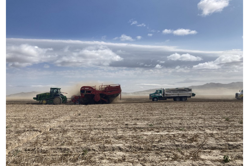 Idaho potato harvest IPC