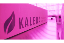 Kalera