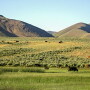 Ranch