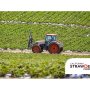 White paper. Photo courtesy California Strawberry Commission 
