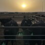 Dust.storm_.2023.jpg