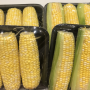 Sweet corn volume is ramping up in Florida and then up along the East Coast.