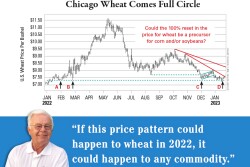 Market Strategy
