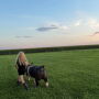 Harper Shike walking a pig