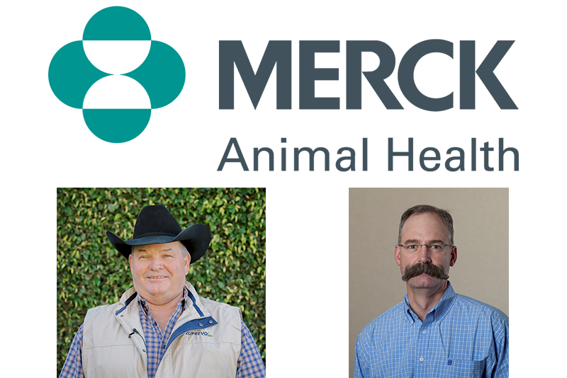 Merck-Webinar-Header.png