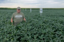 Bob Lindeman in Minnesota Soybeans