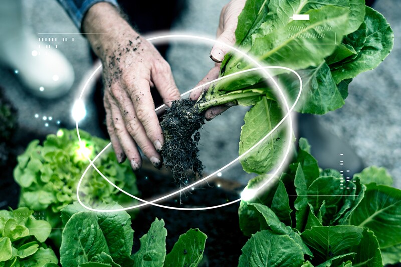 Image depicting agtech and farming, food production