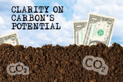 Consultants are being seen as an integral part of the technical service provider portion of any carbon trading program.
