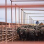 Montana ranch