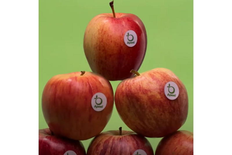 FE57F43A-0AE2-4956-A8E101144A0AA969.png