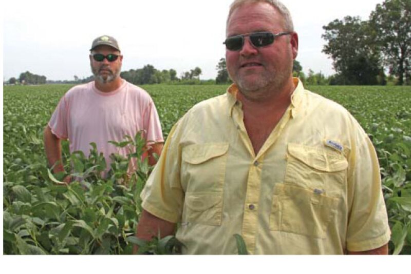 Consultant Robb Dedman, foreground right, and farmer-client Matt Miles keep 120 soybean varieties in constant strip trial motion, searching for the best seed-to-acre match.