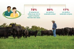 Corporate commitments are a response to consumers and investors.