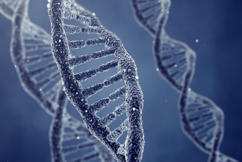 The genetic base is updated every five years.
