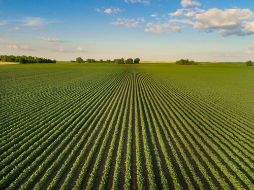 Farmland