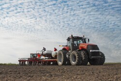 planting