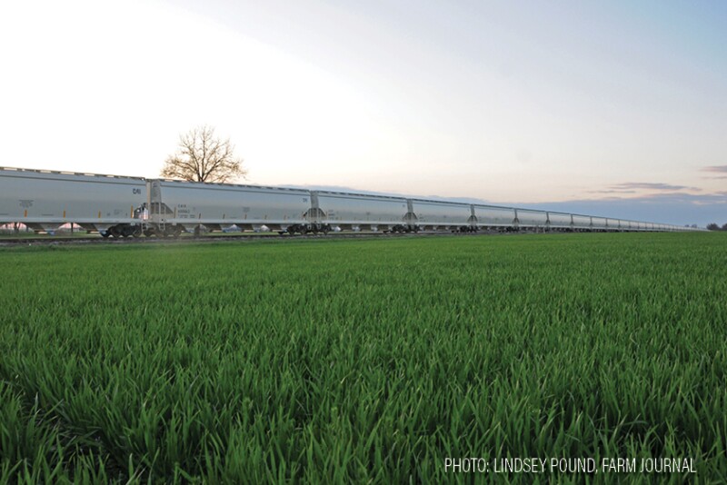 Railroad - Lindsey Pound