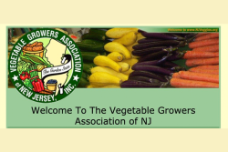 Vegetable Growers Association of New Jersey Logo