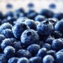 Blueberries By Comfreak  Source pixabay