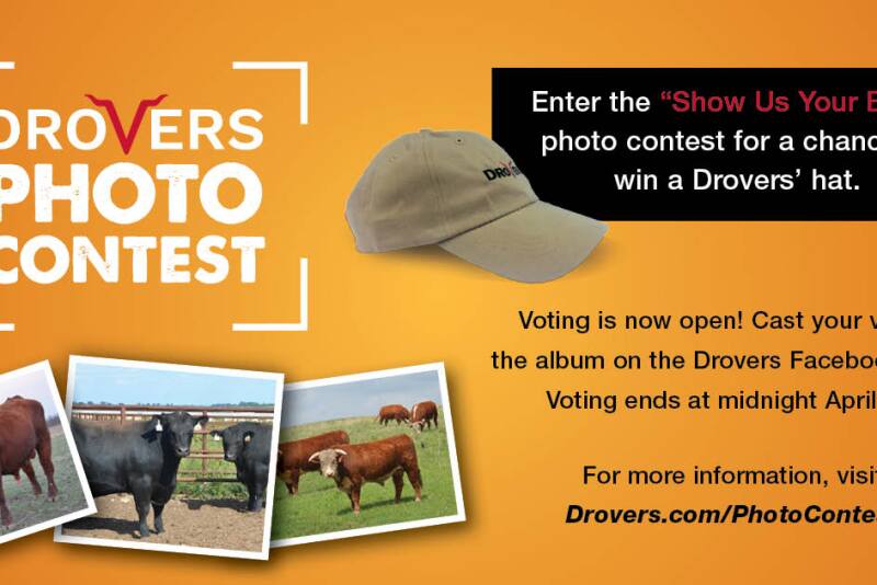 Voting on Facebook will end April 15.
