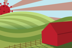 covid graphic.PNG