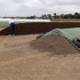 Excretions of antibiotics in cattle urine and feces, and subsequent accumulation in feedlot and dairy manure, has led to concerns over potential contributions to emergence of antibiotic-resistant pathogens. 