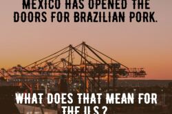 Brazilian Pork to Mexico.canva