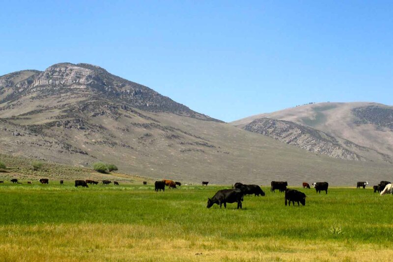 Lost Peaks Ranch