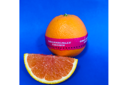 E56C7A4E-31FF-4798-A4A497F469A1CA05.png
