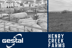 Henry Creek Farms producer's profile