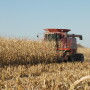 Harvest