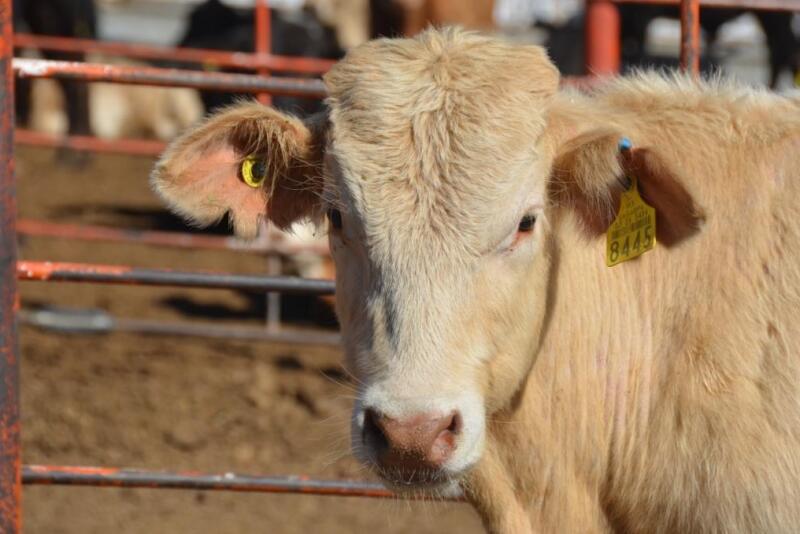 RFID tag
