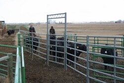 We still have much to learn about assessing animals’ mental states, both positive and negative.