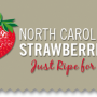NC strawberry