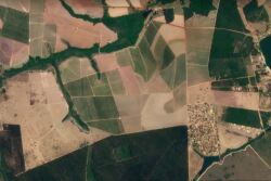 PlanetScope imagery of can help farmers scout for weeds, pests and diseases, as well as nutrient and water stress. © 2021, Planet Labs Inc