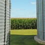 Grain bins - corn field - Lindsey Pound