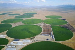 Utah Dairy Farm 