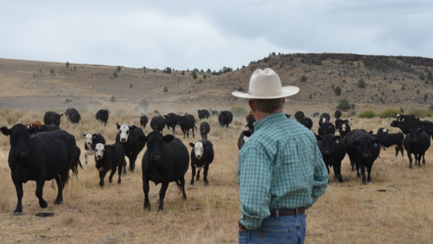 Oregon Cattlemen's: A Much Needed Conversation