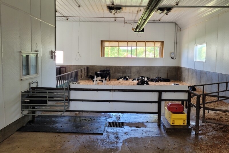 More and more farms have made the switch from feeding calves individually to group autofed systems. However, disease detection in group-housed calves remains a challenge.