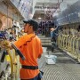 milking cows