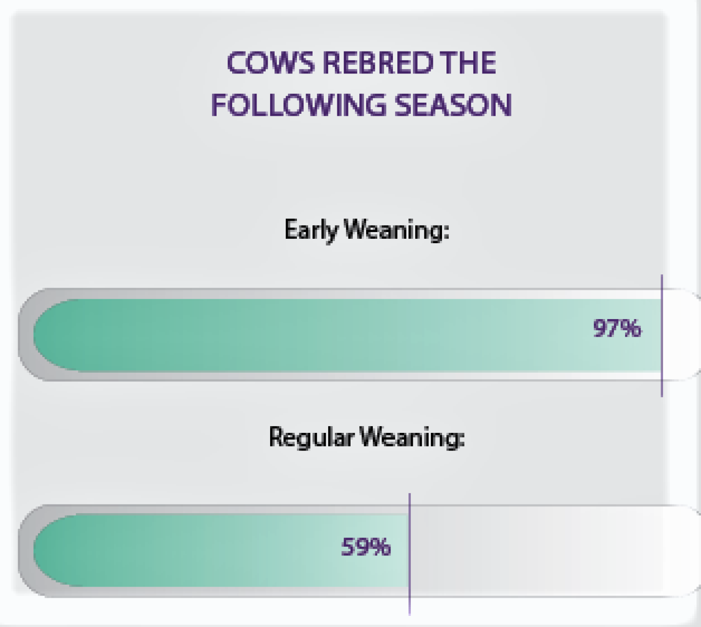 rebred%20again2.png