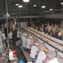BT_USDA_Beef_Meat_Packer_4