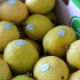 Guava is gaining ground in the foodservice space, according to United Fresh.