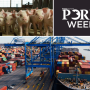 Pork Week - Exports